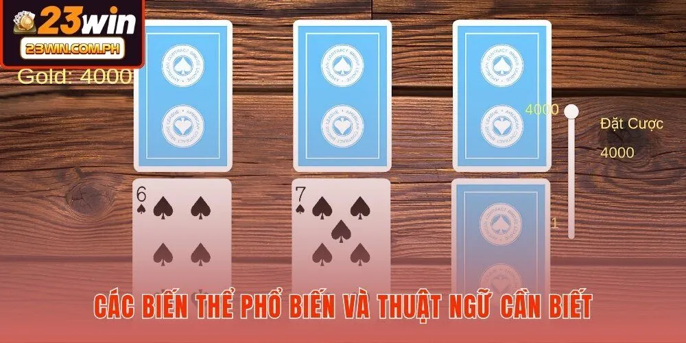 cac-bien-the-pho-bien-va-thuat-ngu-can-biet cac-bien-the-pho-bien-va-thuat-ngu-can-biet