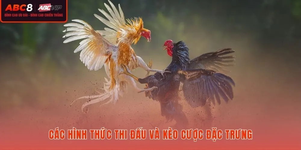 Các hình thức thi đấu và kèo cược đặc trưng