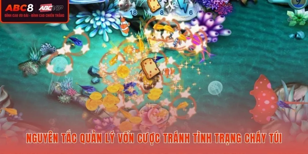 Mẹo bắn cá an toàn và nguyên tắc quản lý tiền cược