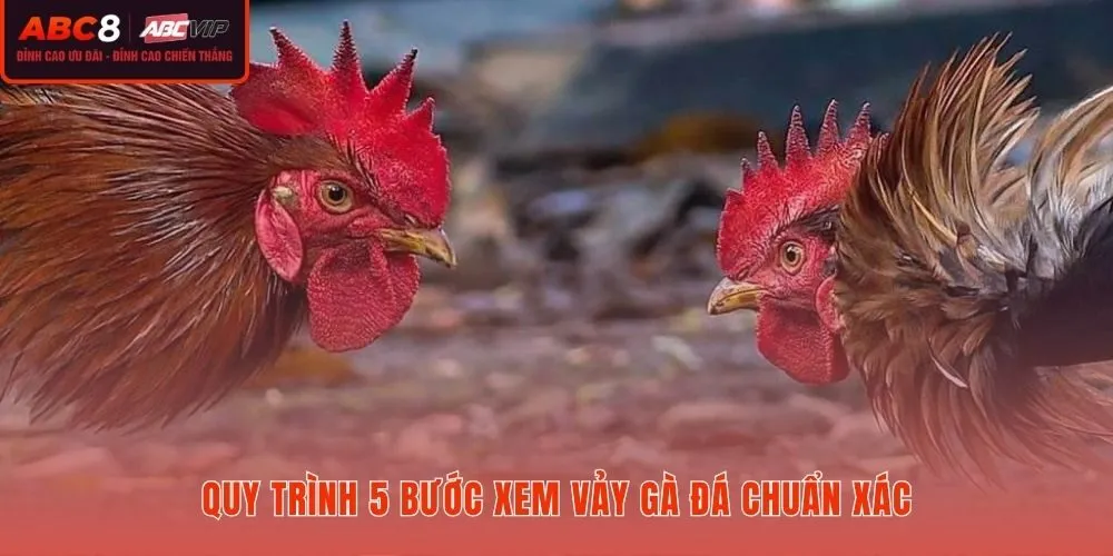 Trình tự xem vảy gà đá từ ngoài vào trong giúp sàng lọc nhanh